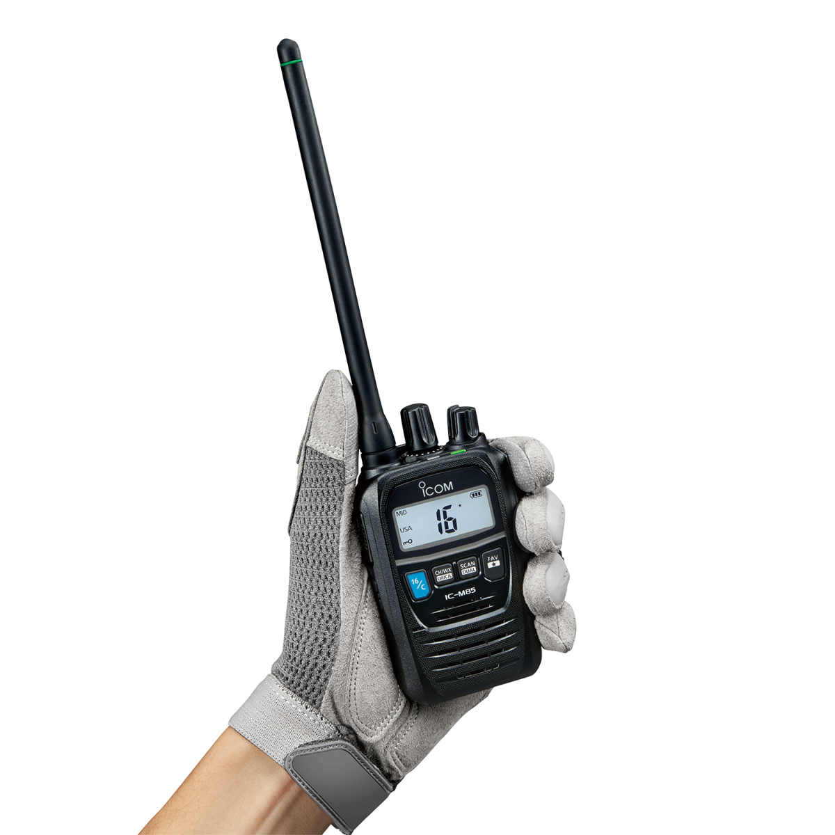 IC-M85 IC-M85